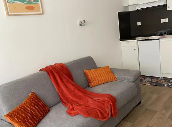 Résidence City Suites Ajaccio che accetta animali