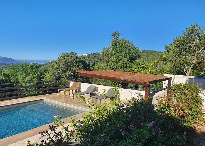 Pet friendly Tres Belle Residence Vue Mer Et Piscine Chauffee - Baccalocation Porto-Vecchio 