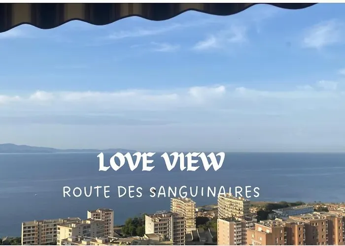 Splendide Vue Dans Ce Studio ! Ajaccio 