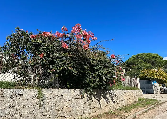 Casa Nova Maison d'hôtes Sagone  acceptant les animaux