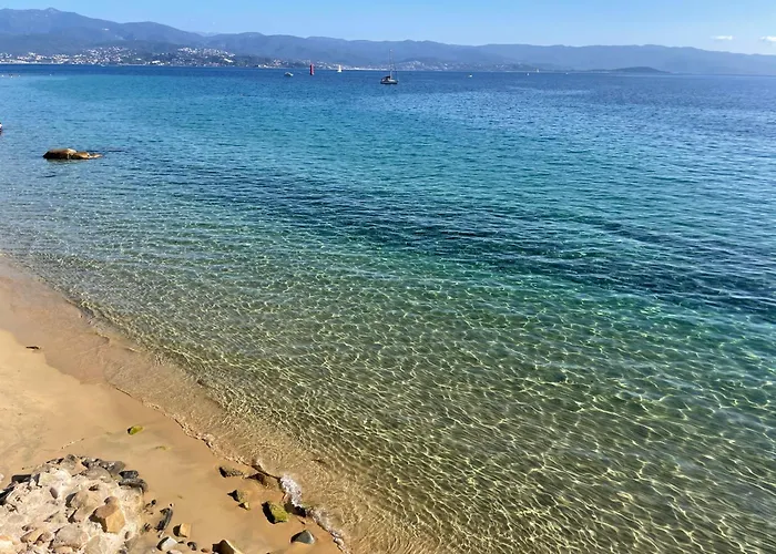 T2 Vue Mer - Entree De Ville Ajaccio  che accetta animali