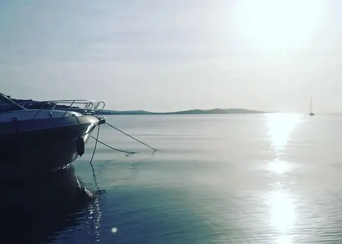 Résidence de la Plage Porto Vecchio che accetta animali