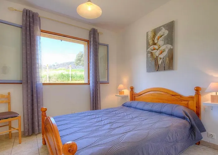 Privé L'Amandier -Le Figuier-Les Lauriers Roses Ajaccio 