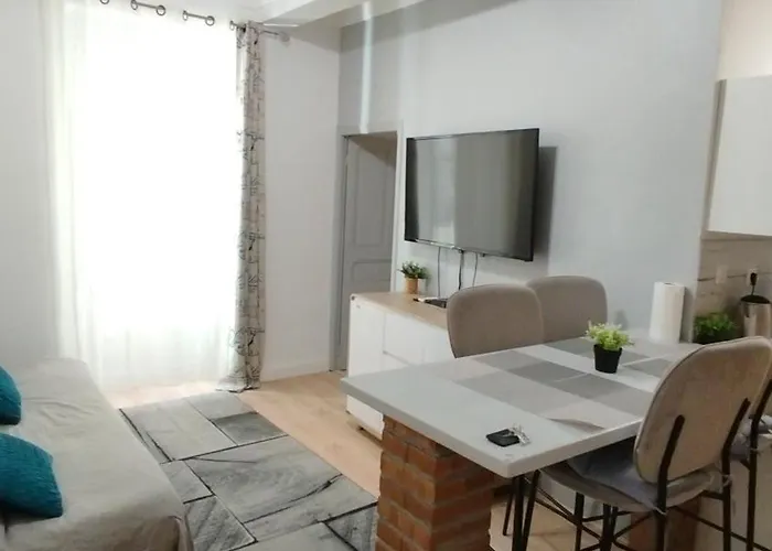 Huisdiervriedelijke T2 Type New Yorkais Appartement Ajaccio 