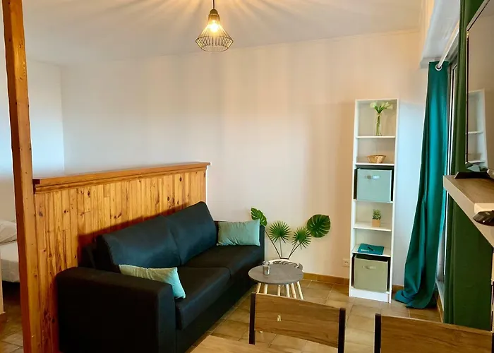 Tres Beau Studio A 100M De La Plage De Marinella Ajaccio 