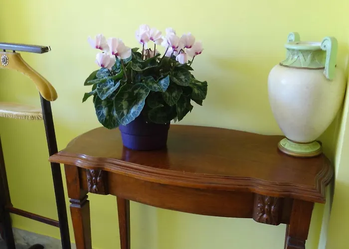 Chambre Ajaccio Appartement Ajaccio 